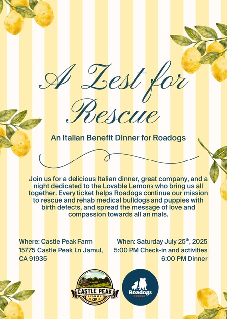 Yellow Invitation